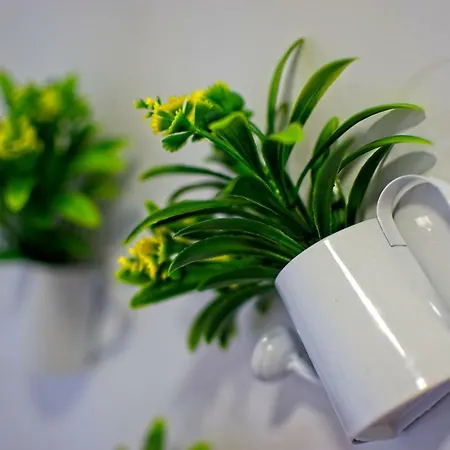 Carla Apartament *